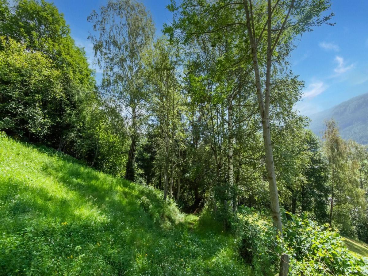 Cosy Holiday Home At The Wildkogel ブラームベルク・アム・ヴィルトコーゲル エクステリア 写真